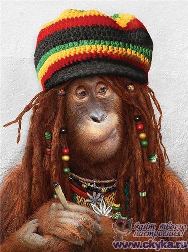 Николай Пахомов