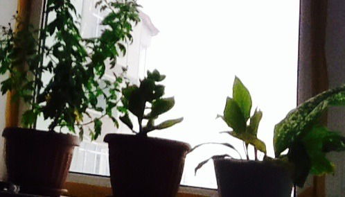 Жанат Карагозин