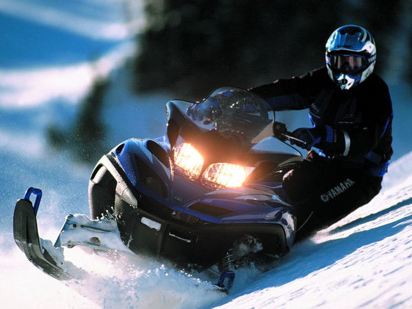 Алексей Рощин