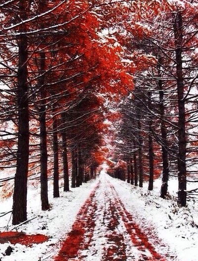 Света Закурдаева