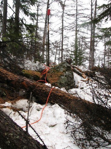 Неизвестно Неизвестно