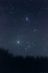 Марина Миллер