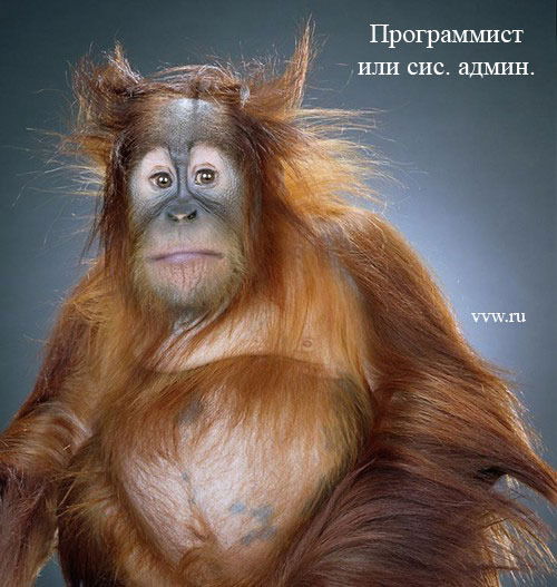 Дмитрий Корнеев