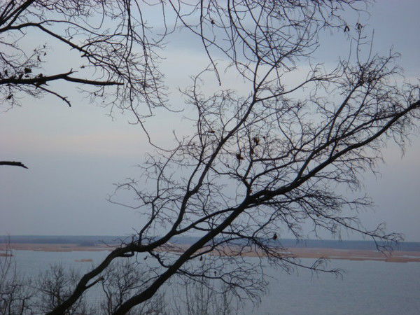 Светлана Посохова