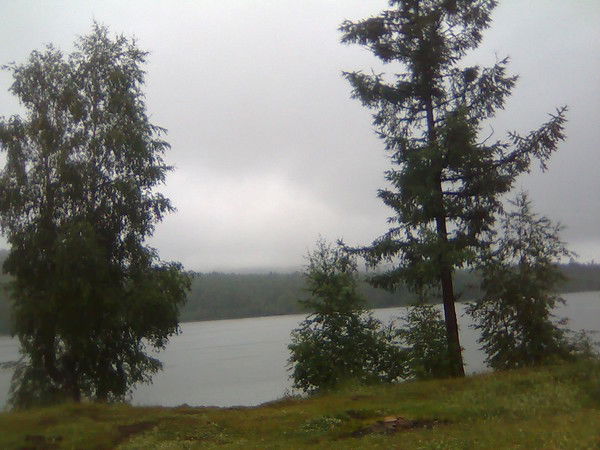 Александр Телегин