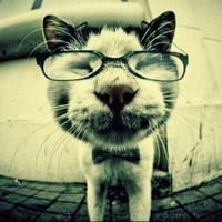 Рома Власов