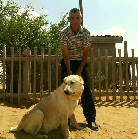 Санал Кубинов