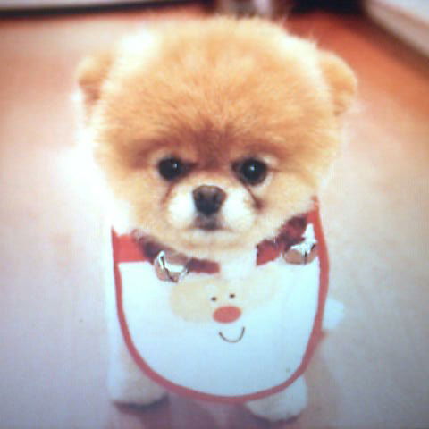 Михаил Посунько