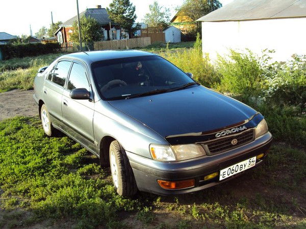 Роман Сурков