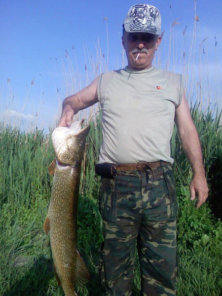 Владимир Курочка