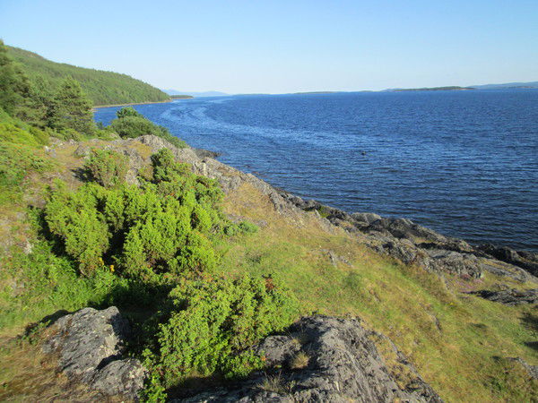 Стас Кожаков