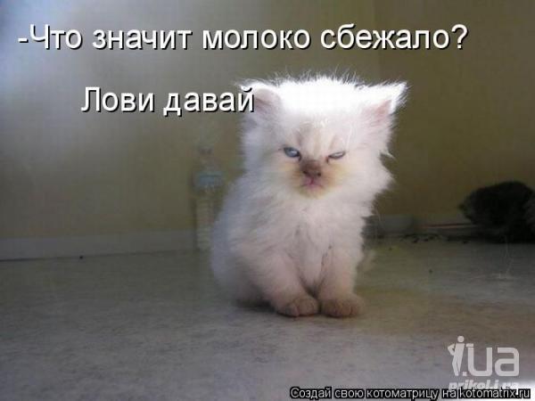 Галина Малина