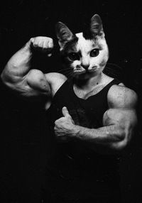 Андрей Семендаров