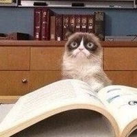 Татьяна Новикова