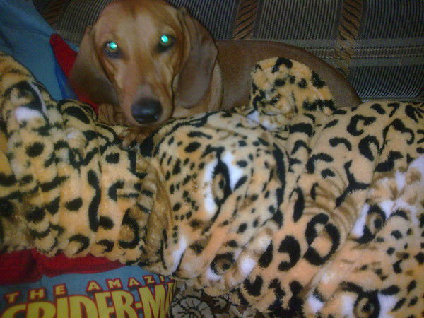 Татьяна Бобкова (Кулешова)