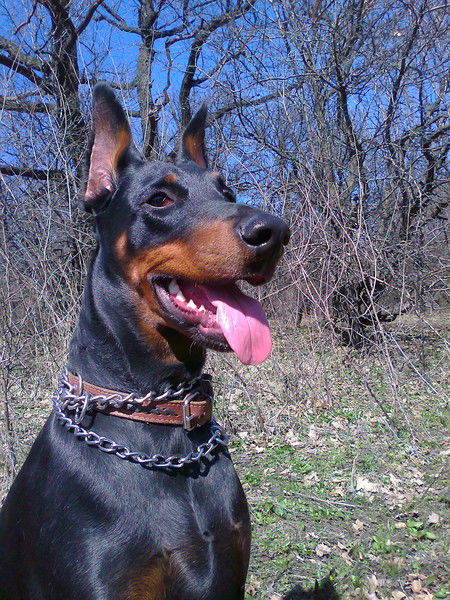 Натали Гончарова