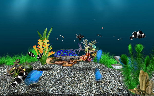 Юлия Редкова