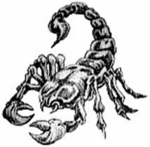 Данил Кадыргалеев