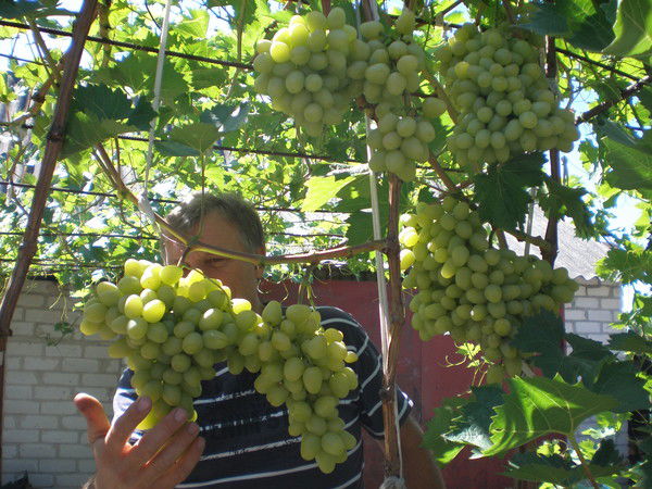 Неизвестно Неизвестно