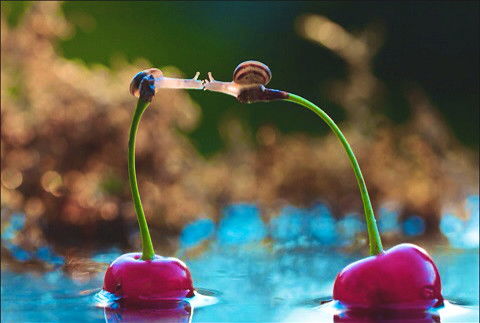 Майя Маликова