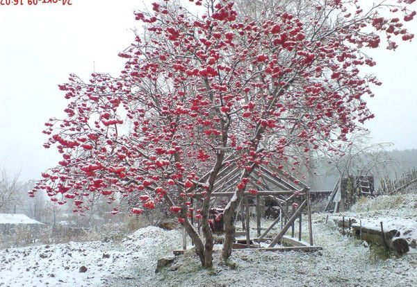 Евгений Синицкий