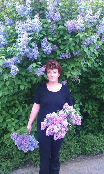 Елена Плужникова