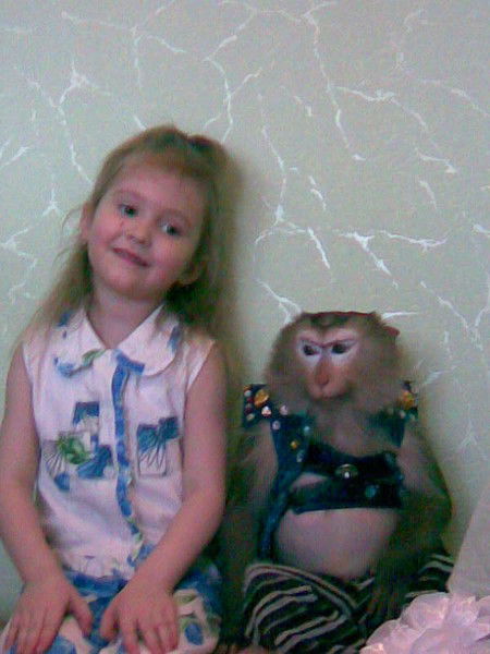 Вадим Шабунин