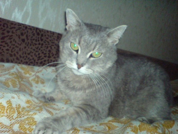 Роман Измалков