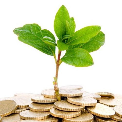 Ордабасы Цоп