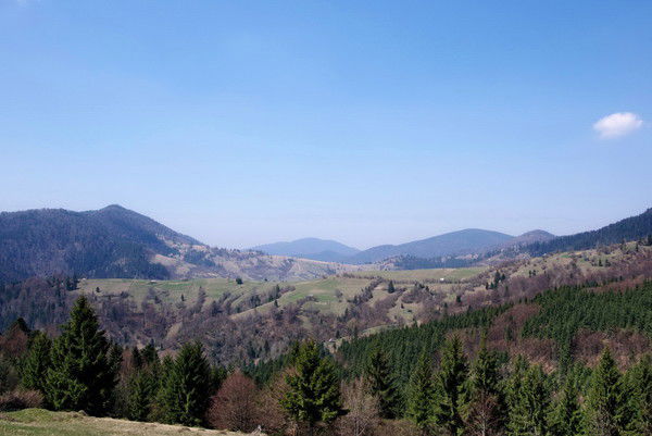 Темирхан Балтабаев