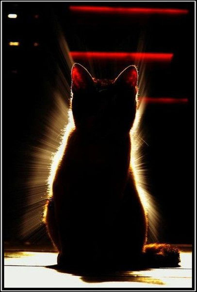 Игорь Сухоруков