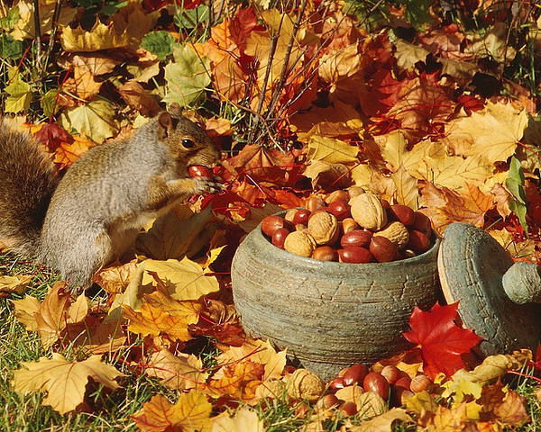 Svetlana ************