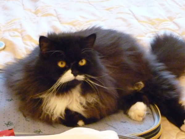 Виталий Крюков