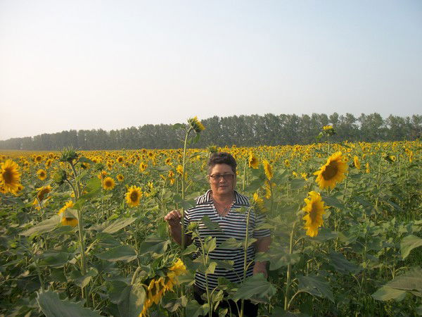 Надежда Головкина