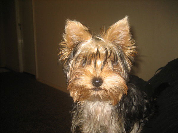 Никита Прудиус