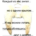 V Вилков