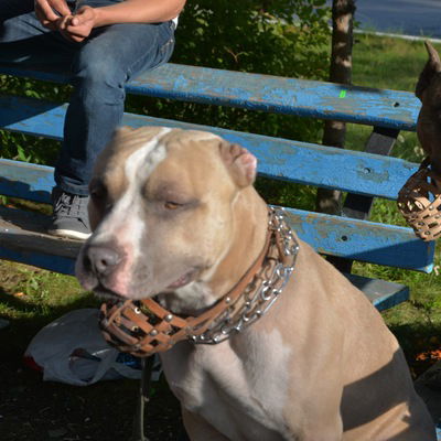 Сергей Панков