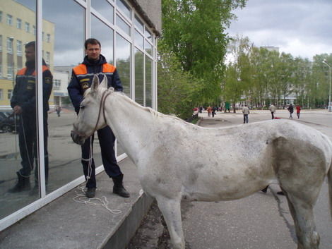 Костя Белов