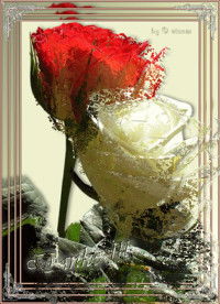 Вася Васечкин