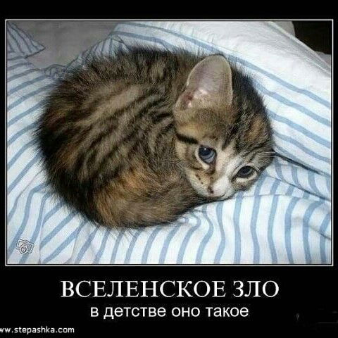 Rem Снежинка