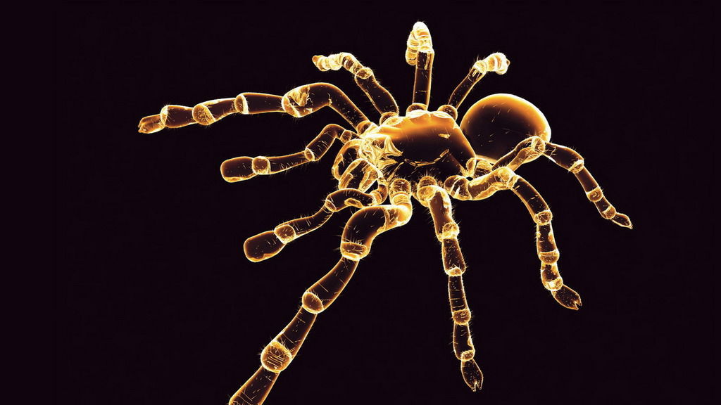 Шмигель Аркадий