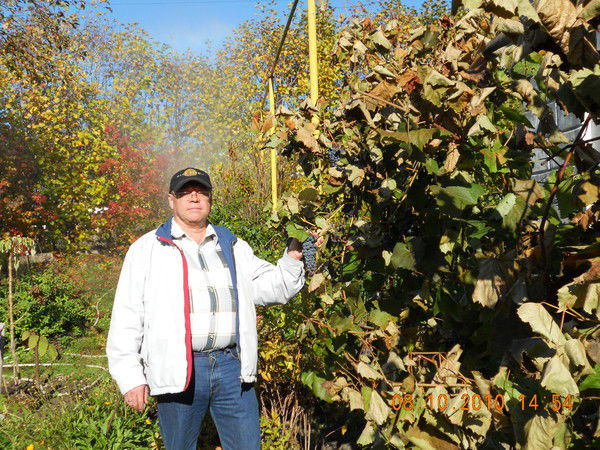 Сергей Лебедев