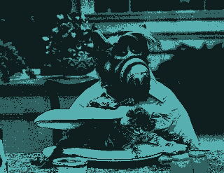 Сергей Михайлин