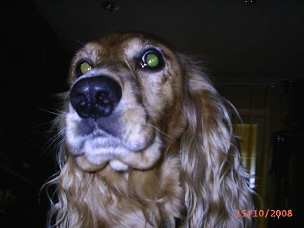 Александр Матияш