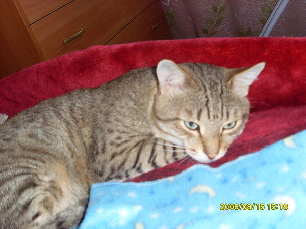 Александр Ухов