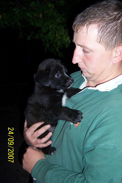 Владимир Савела