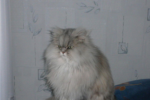 Александр Жуков