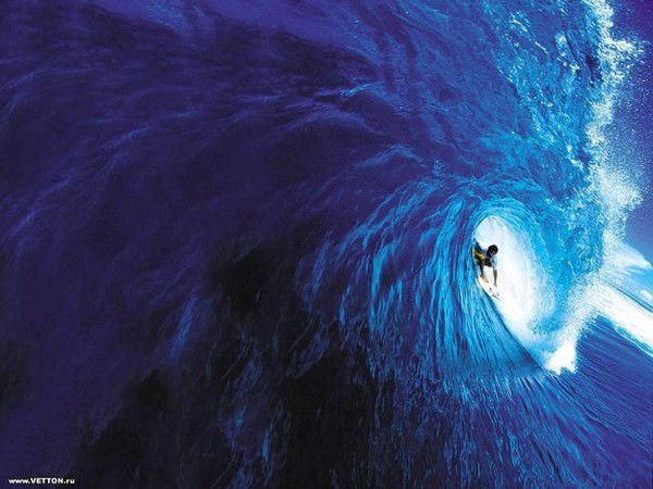 Андрей Шапочкин