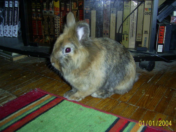 Татьяна Тищенко