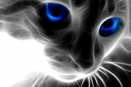 Наталья Федоренко